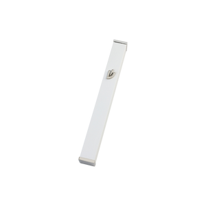 Outdoor Large Aluminum Mezuzah Case